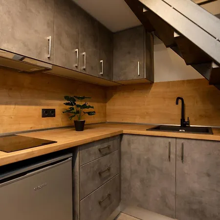 Apartamento Dialeti Loft *