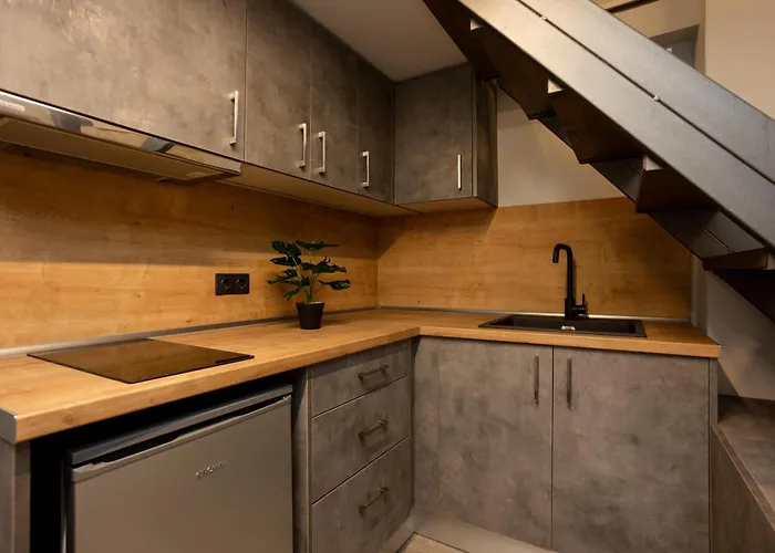 Apartamento Dialeti Loft *
