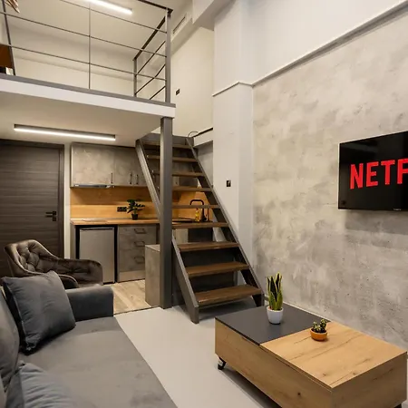 公寓 Dialeti Loft 塞萨洛尼基