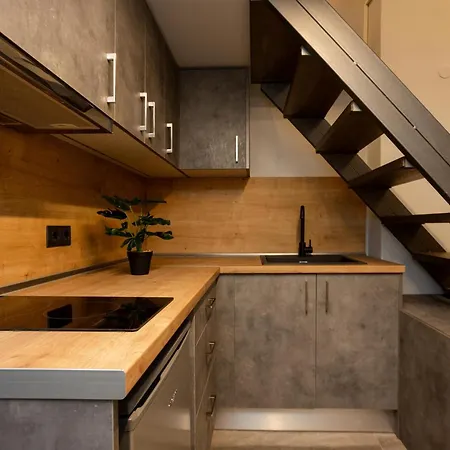 公寓 Dialeti Loft *